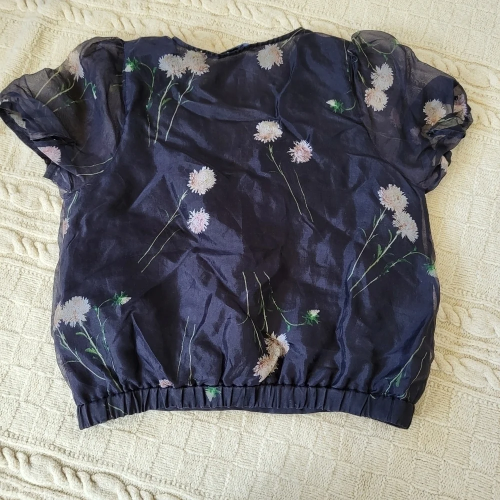 Madewell silk organza